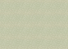 Rasch Novella 983166