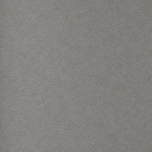 Andrea Rossi Berggi 54445-4