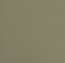 Фисташковые обои для стен Andrea Rossi Spectrum Plus 54355-9