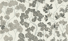 Studio Italia Collection Miraviglia MV20004