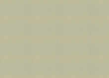 Rasch Novella 983562