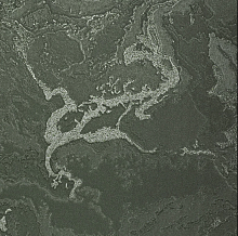 Зелёные обои для стен Bernardo Bartalucci Gaga  84282-29