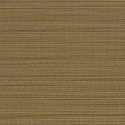 W06 50537