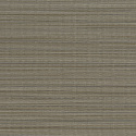 W06 50535