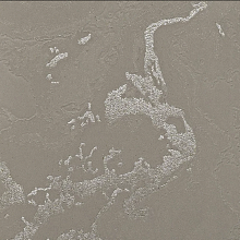 Обои под мрамор Bernardo Bartalucci Gaga  84282-9