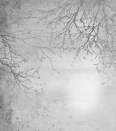Фотообои Vetve 29, VETVE, Wall street Фотообои Vetve 29, VETVE, Wall street