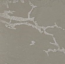 Обои под мрамор Bernardo Bartalucci Gaga  84282-8