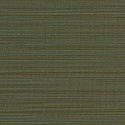 W06 50543