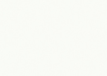 Rasch Step-Up W186013