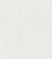 Светостойкие обои Bernardo Bartalucci Gaga  84284-7