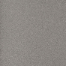 Andrea Rossi Berggi 54445-3
