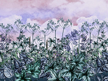 Wall street BOTANICA Botanica 11