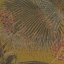 W06 50503