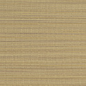 W06 50538