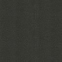 19023