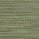 W06 50541