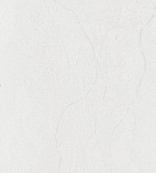 Светостойкие обои Bernardo Bartalucci Gaga  84284-10