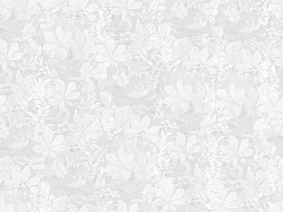 Фотообои Fairy Foxes 22, FAIRY FOXES, Wall street
